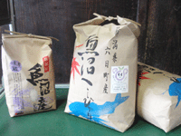 �R�V�q�J�����i