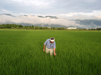 ��̏�Ԃ��`�F�b�N����