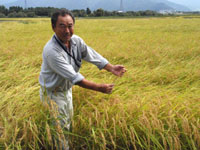 �R�V�q�J��������܂����I