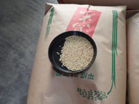 ���Ă̐V��