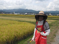 ���ꂩ����n